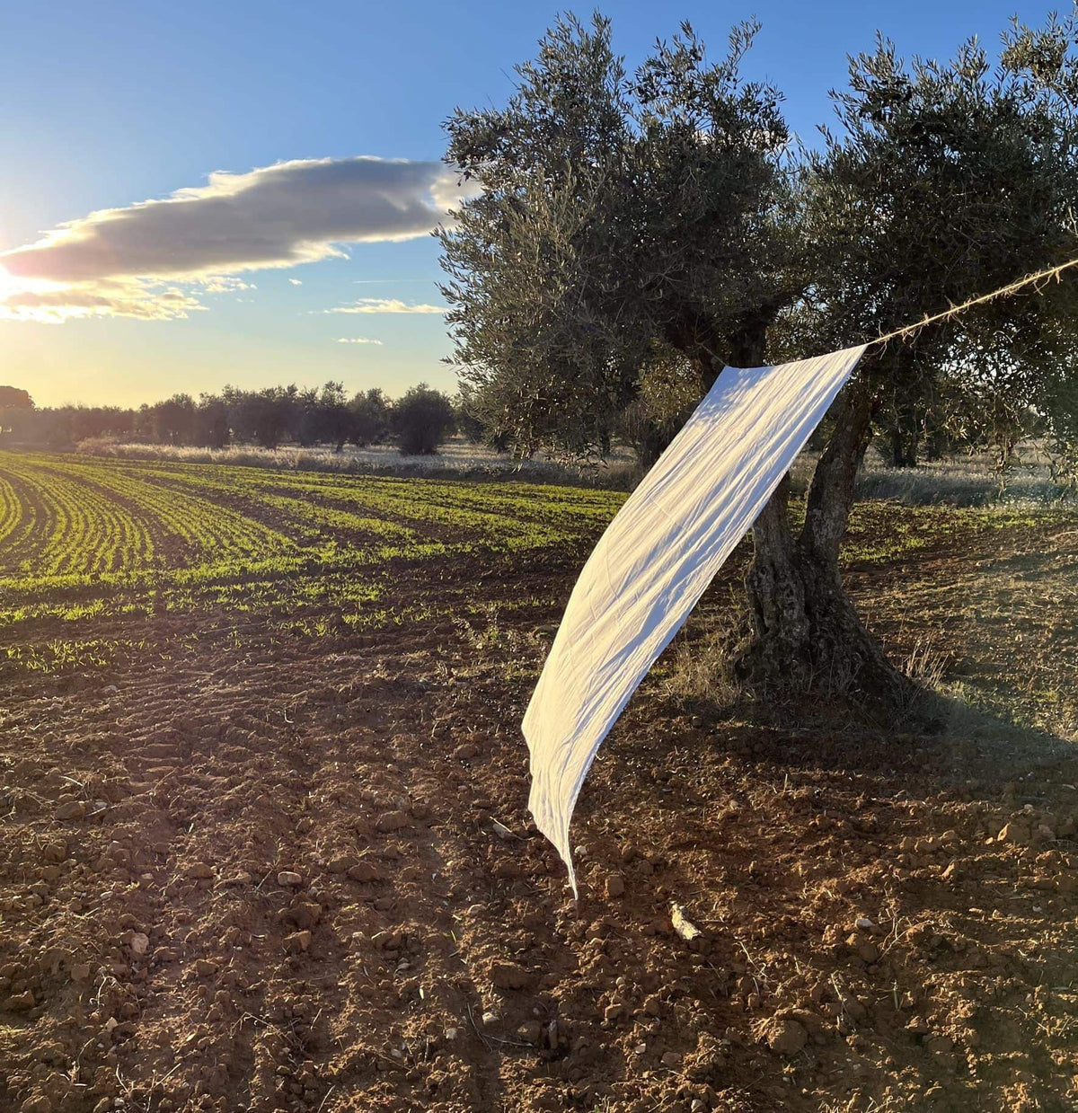 Consejos de lavado para tus sábanas Cometa